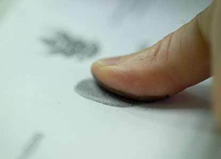 Отпечатки пальцев