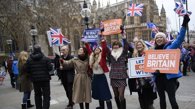 Участники акции против Brexit у здания парламента Великобритании в Лондоне. 15 января 2019