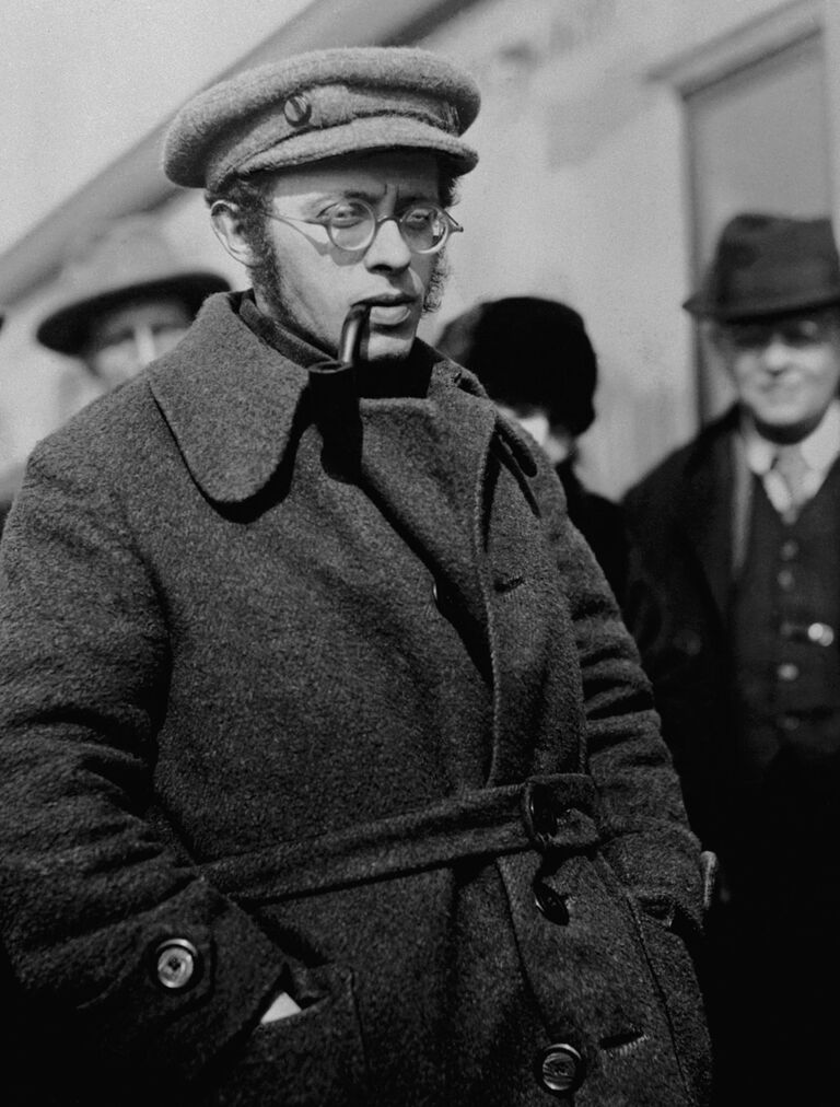 Политический деятель Карл Радек