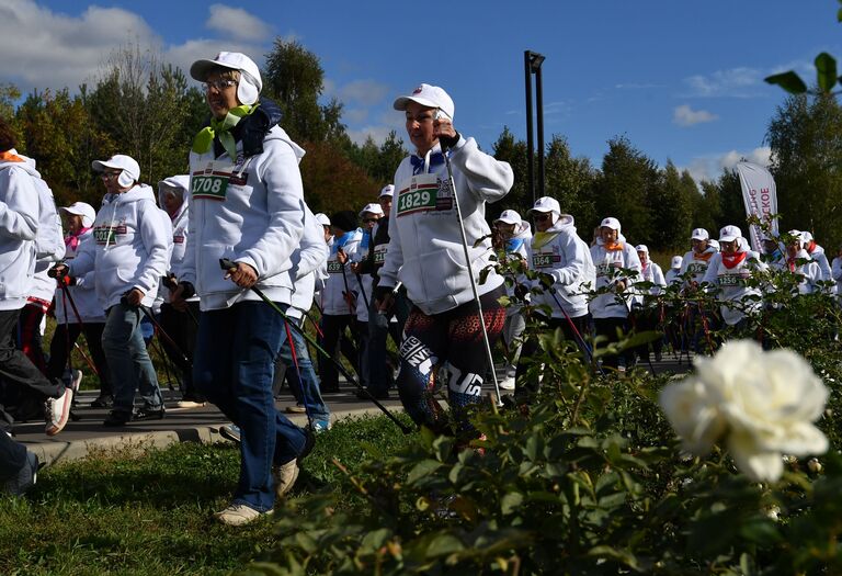 Марафон по скандинавской ходьбе среди пенсионеров