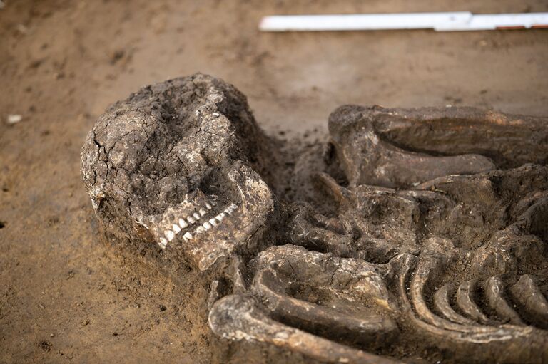 Скелет молодого человека, жившего 6500 лет назад, обнаруженный археологами в Баварии, Германия