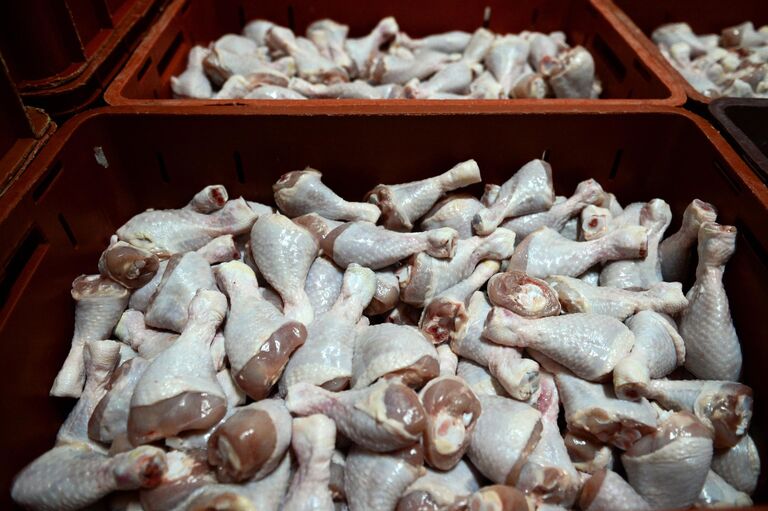 Куриная голень на птицефабрике Октябрьская в Новосибирской области