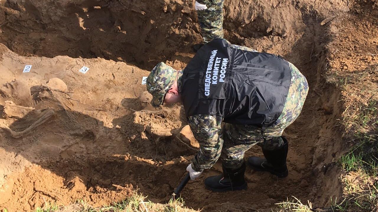 Сотрудник Следственного комитета на месте обнаружения захоронения гражданских лиц времен Великой Отечественной войны в Новгородской области  - РИА Новости, 1920, 03.08.2020