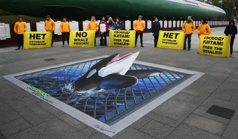 Участники пикета в защиту косаток и белух, находящихся в китовой тюрьме в бухте Средняя, на Корабельной набережной Владивостока. На первом плане - 3D-плакат с изображением косатки, рвущейся на волю