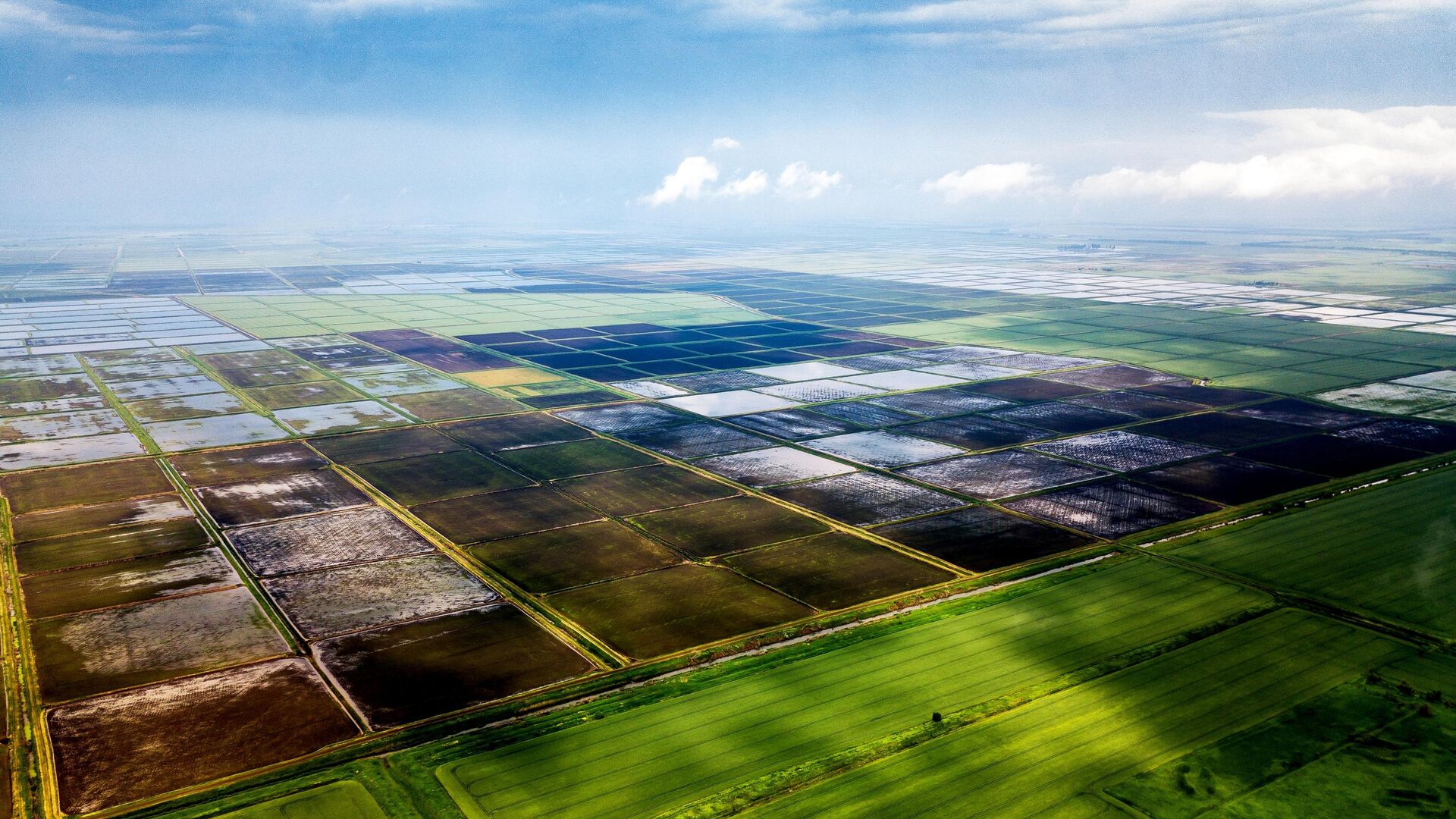 Выращивание риса в Краснодарском крае - РИА Новости, 1920, 10.06.2022