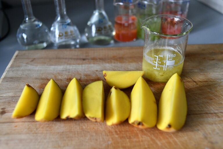 Проверка продуктов в лаборатории Роспотребнадзора