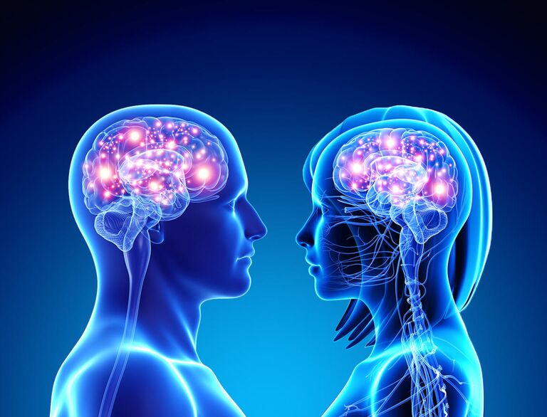 Мужской и женский мозг