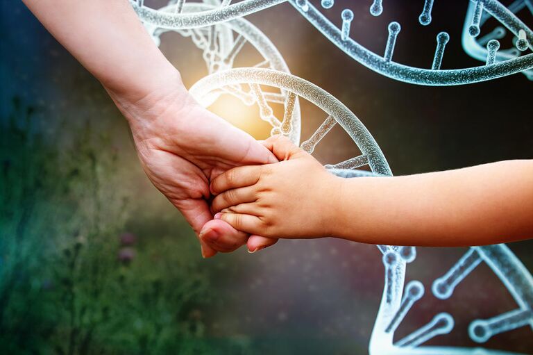 Руки матери и ребенка Руки матери и ребенка