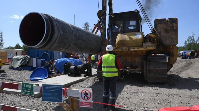 Рабочие на участке строительства газопровода Северный поток-2 в Ленинградской области