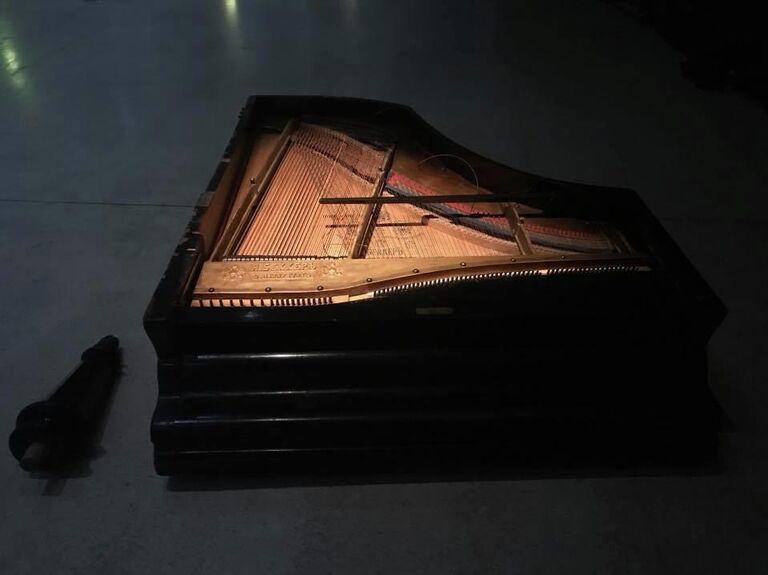 Фото из проекта Приют роялей. Фото из проекта Приют роялей.