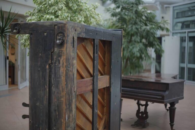 Обитатели Приюта роялей. Обитатели Приюта роялей.