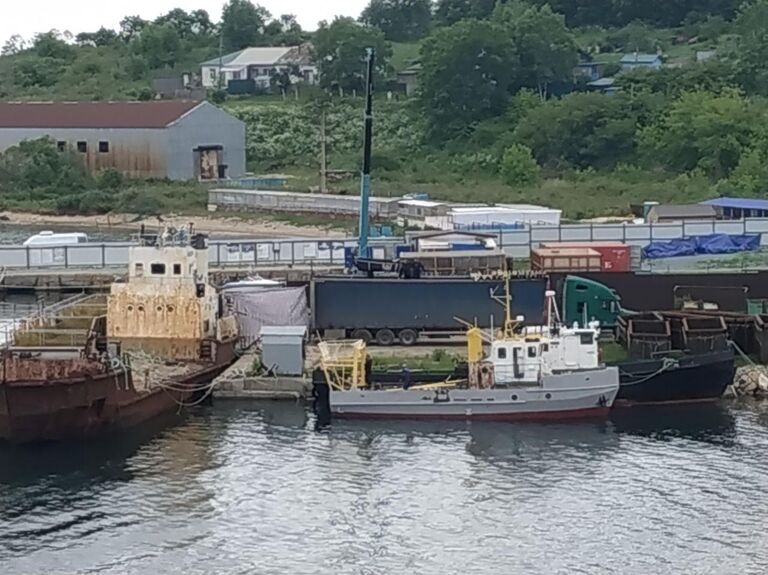 Косаток из китовой тюрьмы во Владивостоке начали перегружать в машины для выпуска. 20 июня 2019