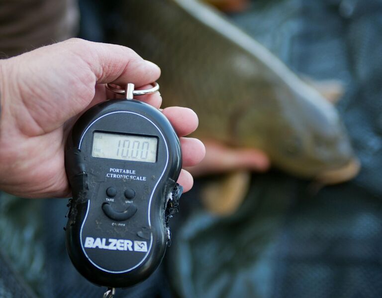 Чемпионата Крыма по ловле карпа