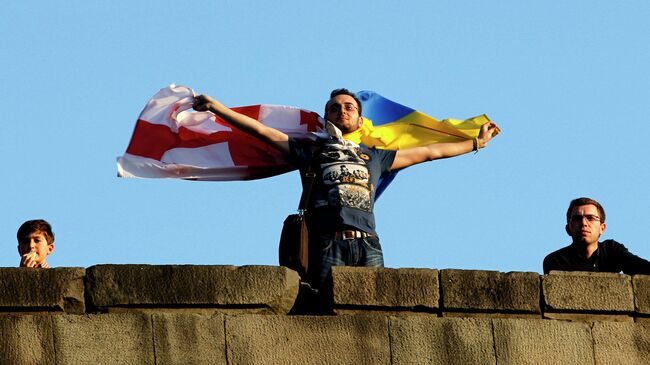 Про политический цирк с конями. На арене Украина и Грузия 