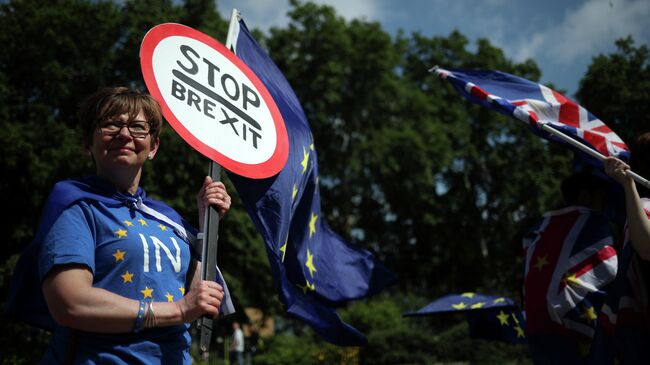 Противники Brexit у здания Парламента в Лондоне. 26 июня 2019 