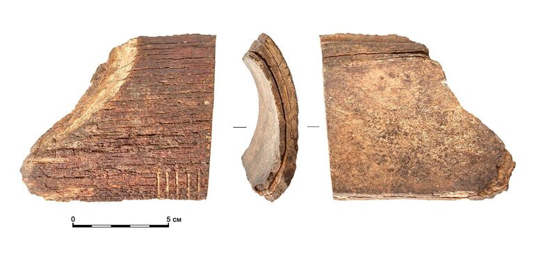 Часть фигурки из бивня мамонта, найденная на месте усадьбы князей Нарышкиных в Москве