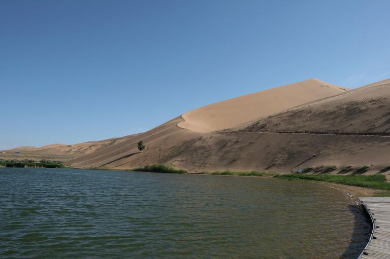 Оазис в пустыне выглядит так Оазис в пустыне выглядит так