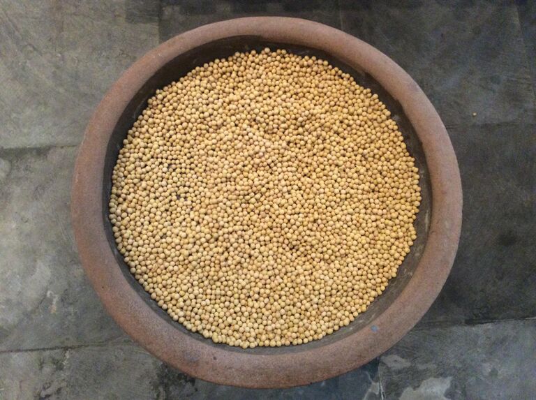 Бобы сои, из которых изготавливают тофу