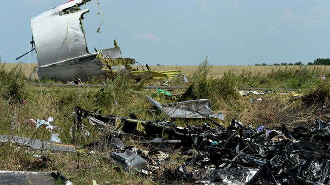 На месте крушения малайзийского Boeing 777 в районе деревни Грабово недалеко от Шахтерска в Донецкой области