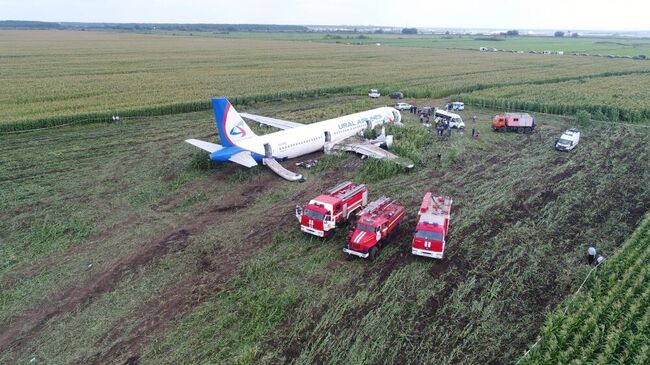 Самолет Airbus А-321 авиакомпании Уральские авиалинии после аварийной посадки в Жуковском