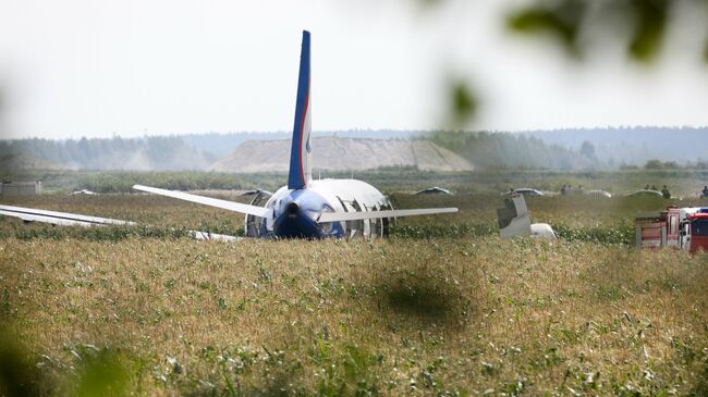 Самолет Airbus А-321 авиакомпании Уральские авиалинии после аварийной посадки в Жуковском