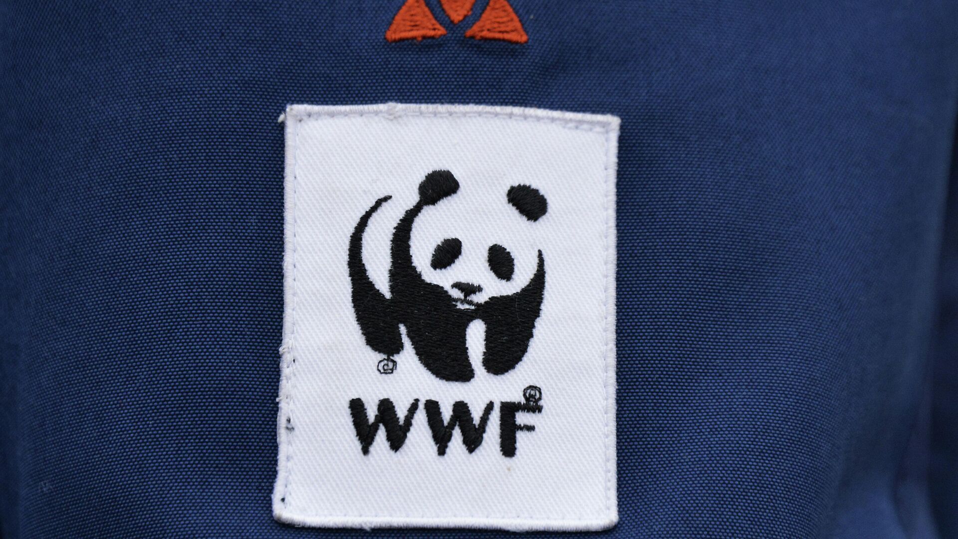 Эмблема WWF на униформе одного из сотрудников лесного отдела Амурского филиала WWF России в Приморском крае. - РИА Новости, 1920, 13.10.2022