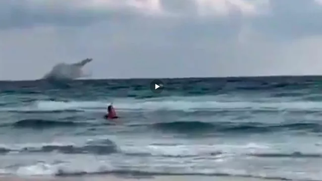 Момент крушения самолета ВВС Испании в Средиземном море попал на видео
