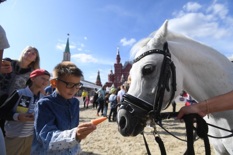 Благотворительное мероприятие для детей-инвалидов в конном манеже на фестивале Спасская башня Благотворительное мероприятие для детей-инвалидов в конном манеже на фестивале Спасская башня