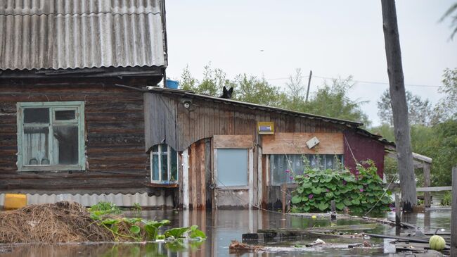 Паводок в Комсомольске-на-Амуре