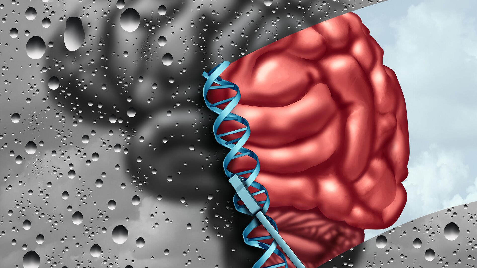 Когнитивная нейробиология - РИА Новости, 1920, 03.02.2026