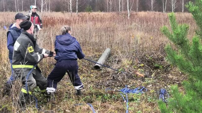 Дикого кабана спасли работники Подольского территориального управления ГКУ МО Мособлпожспас