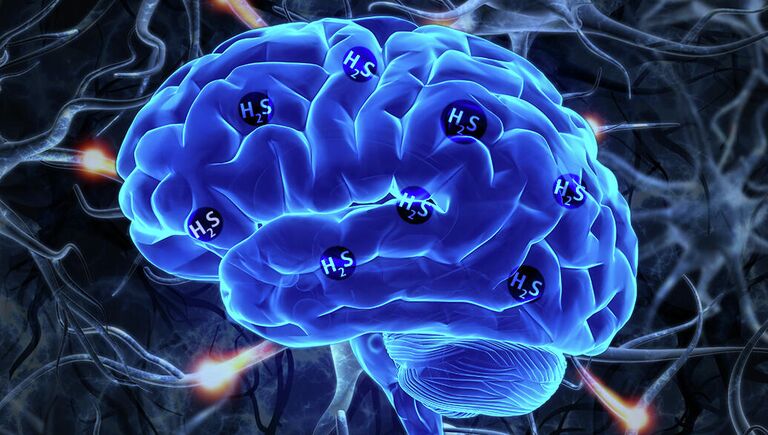 Экспрессия гена MPST, которая приводит к выработке сероводорода, является признаком шизофрении