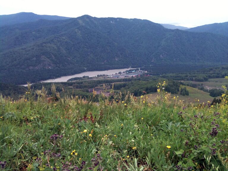 Алтайские горы