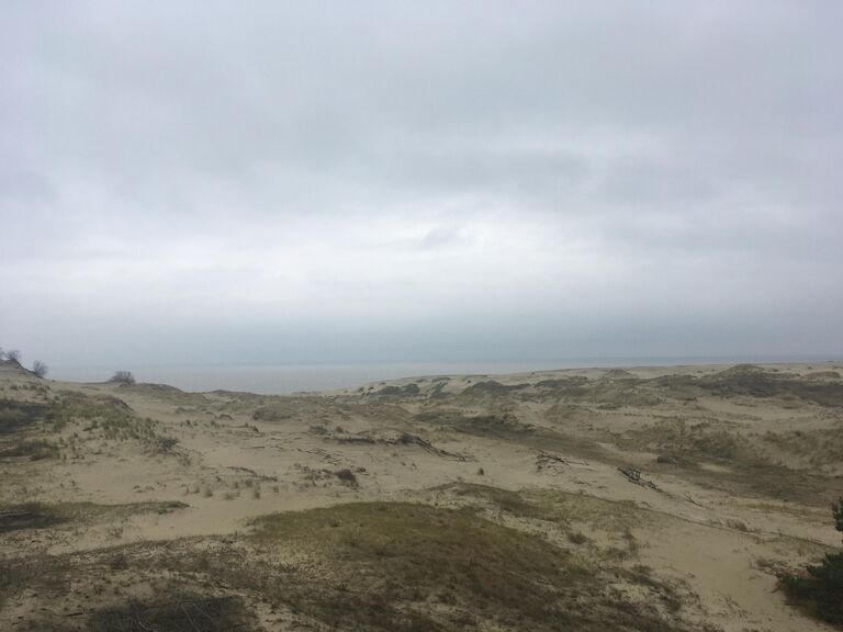 Высота Эфа на Куршской косе в Калининградской области России