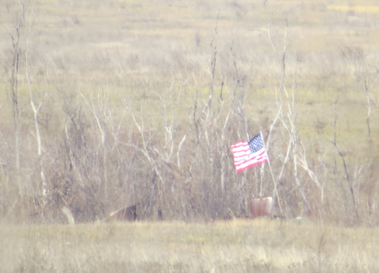 Флаги США на позициях украинских силовиков у линии соприкосновения в Донбассе