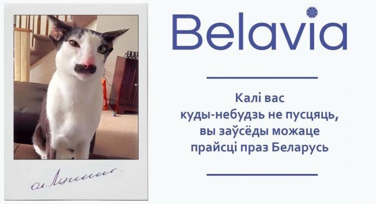 Кот Виктор 