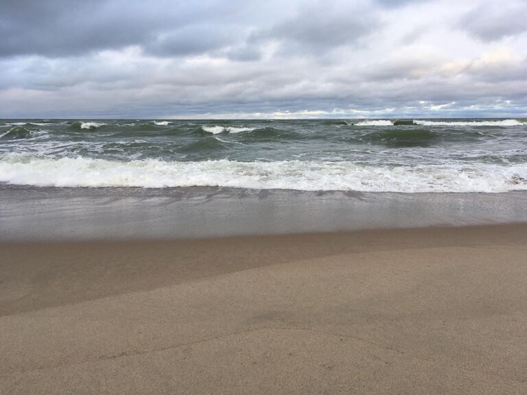 Куршская коса