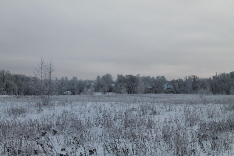 Новгородская область