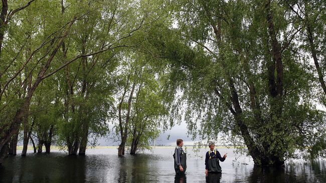 Глоток воды для поймы Волги: как спасают реку от обмеления