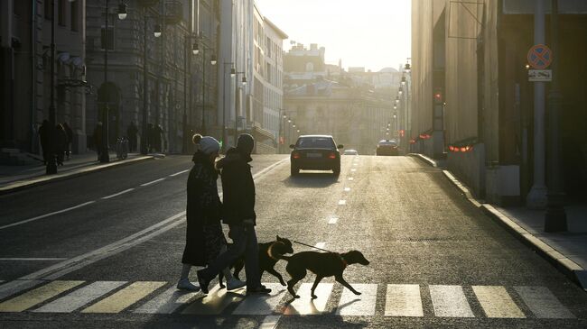 Прохожие на пешеходном переходе на улице Остоженке в Москве