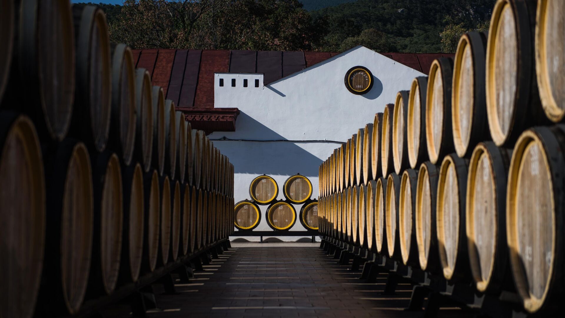 Дубовые бочки для вызревания вина марки Мадера на винодельческом предприятии Массандра - РИА Новости, 1920, 14.11.2025