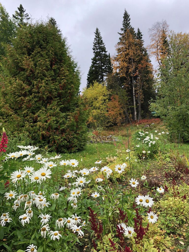Ботанический сад на Соловках, самый северный в России