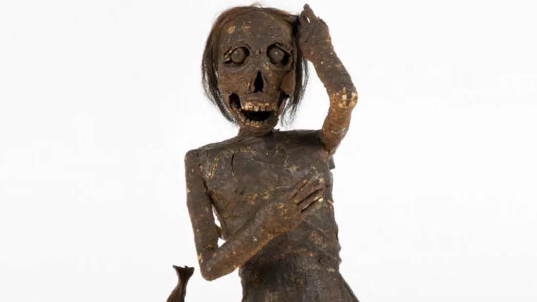 Мумия Бакстонской русалки - РИА Новости, 1920, 11.05.2020