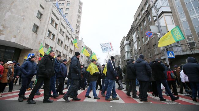 Участники митинга против законопроекта о продаже сельскохозяйственных земель в Киеве