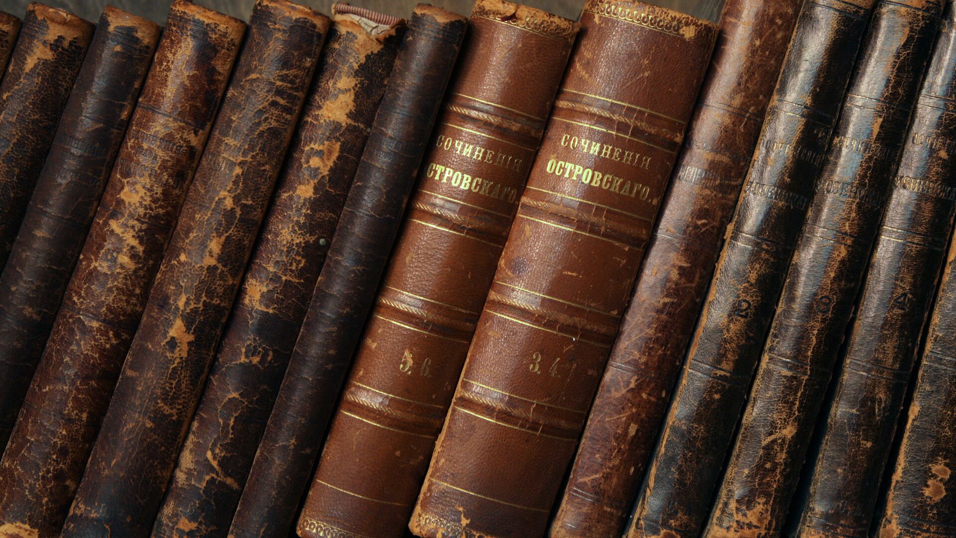 Выставка Реликвии чеховской коллекции - РИА Новости, 1920, 21.04.2026