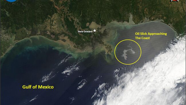 Нефтяное пятно в Мексиканском заливе Нефтяное пятно в Мексиканском заливе