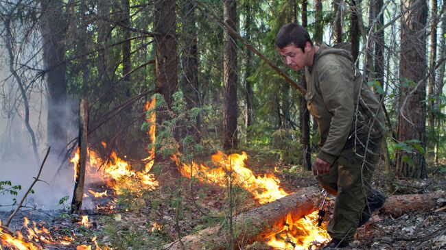 Тушение лесного пожара в Воротынском районе Нижегородской области
