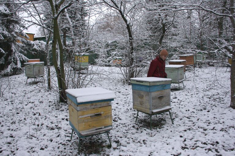 Служба «Экометеобюро» в Кузьминском парке