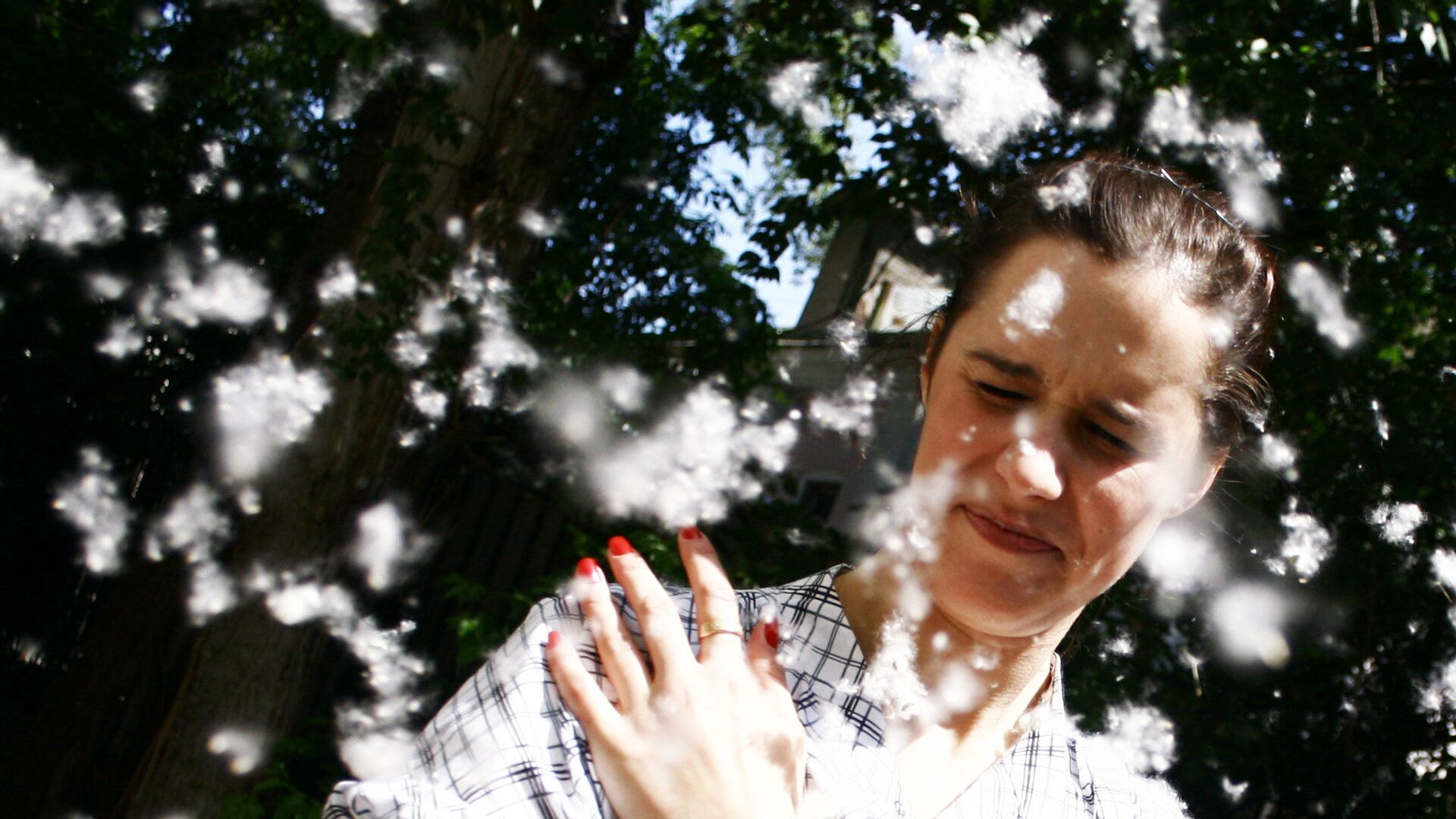 Тополиный пух - РИА Новости, 1920, 18.05.2022
