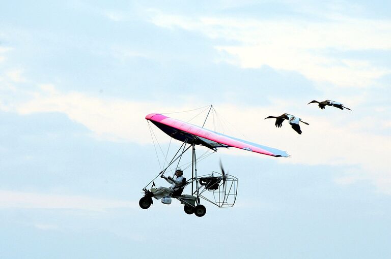 Дельтаплан